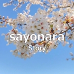 Thumbnail of post image 027